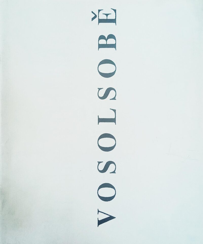Tomáš Vosolsobě (Ausstellung in der “Alten Sparkasse” in Singen)