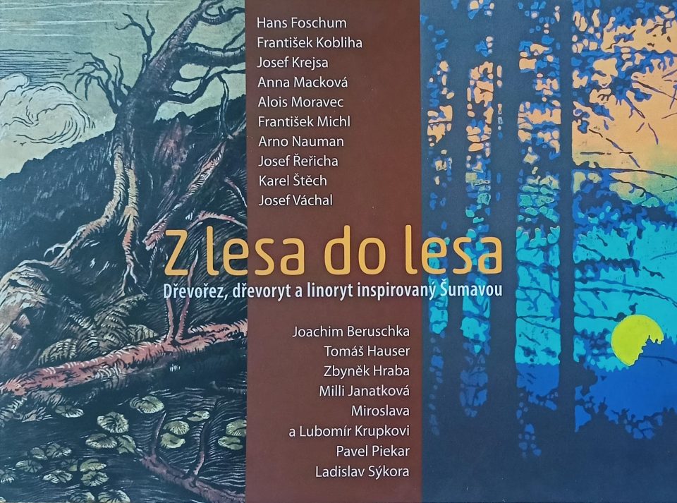 Z lesa do lesa