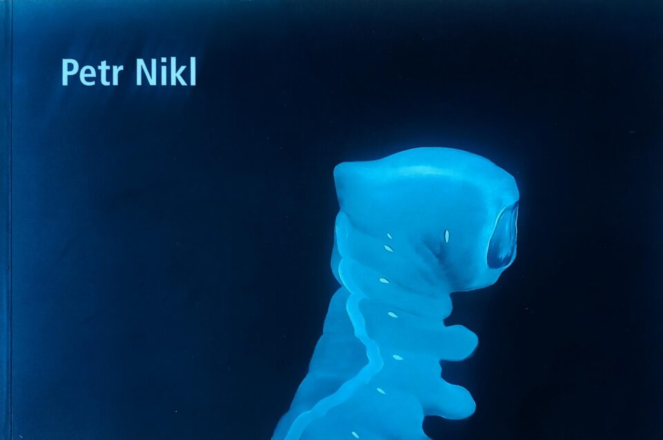 Petr Nikl