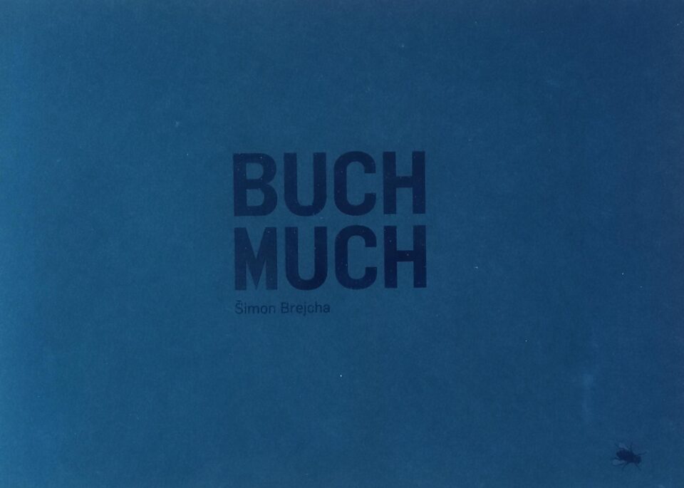 Šimon Brejcha – Buch Much
