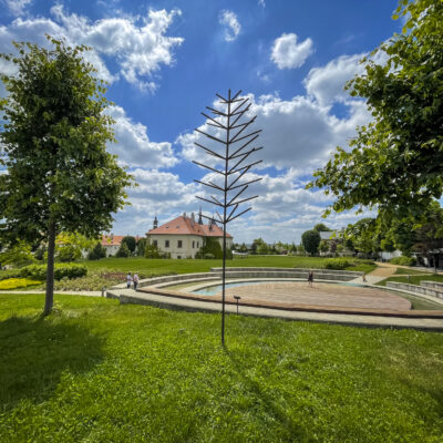 Dagmar Šubrtová, Suchý mladý strom, 2018