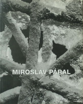 Miroslav Páral