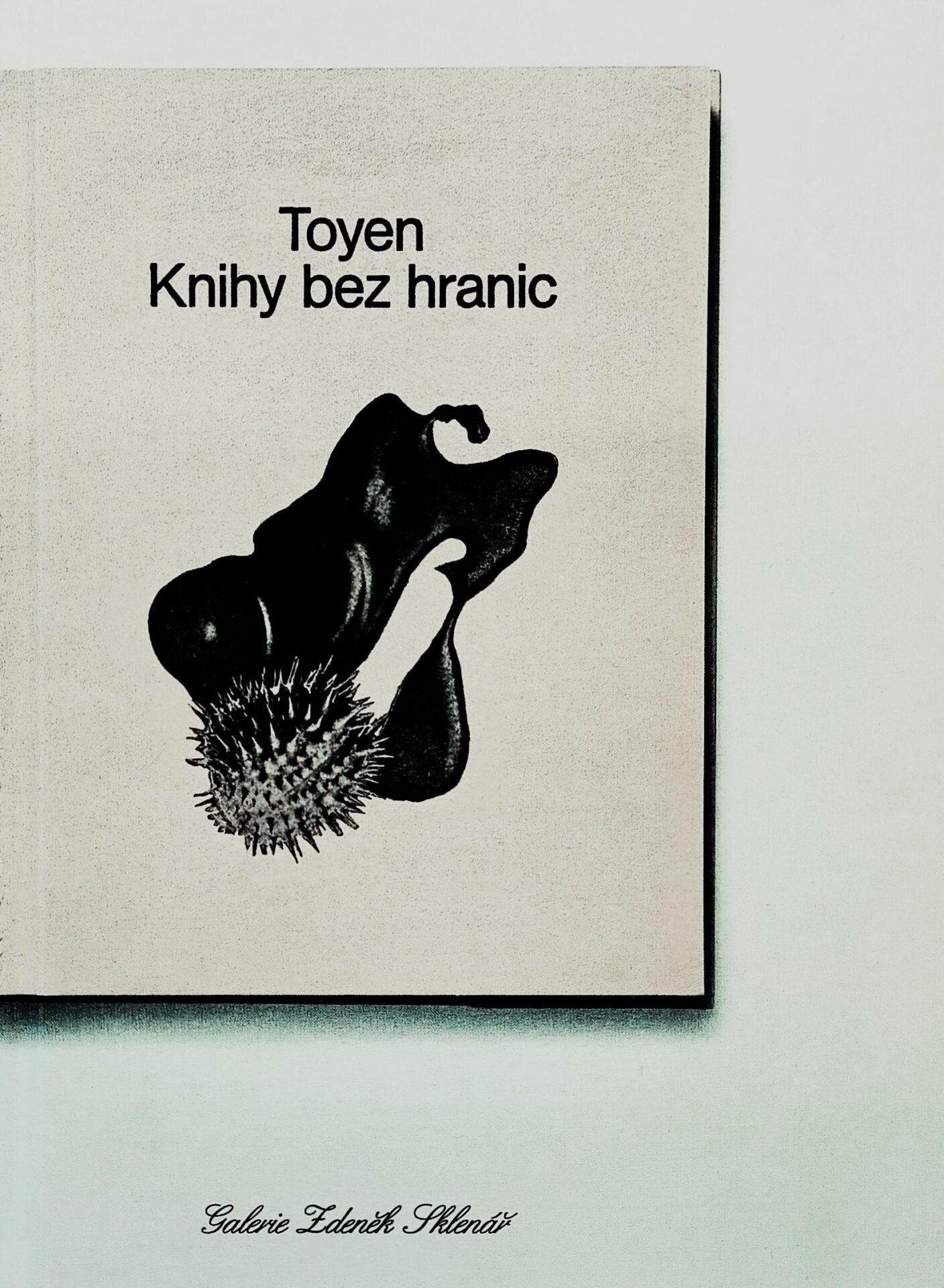 Toyen – Knihy bez hranic