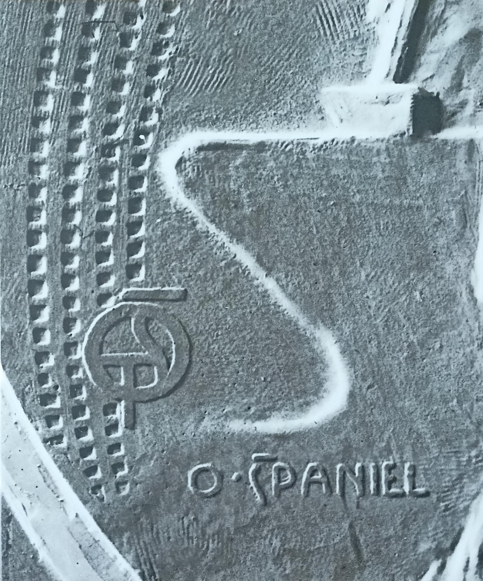 Otakar Španiel