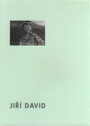Jiří David