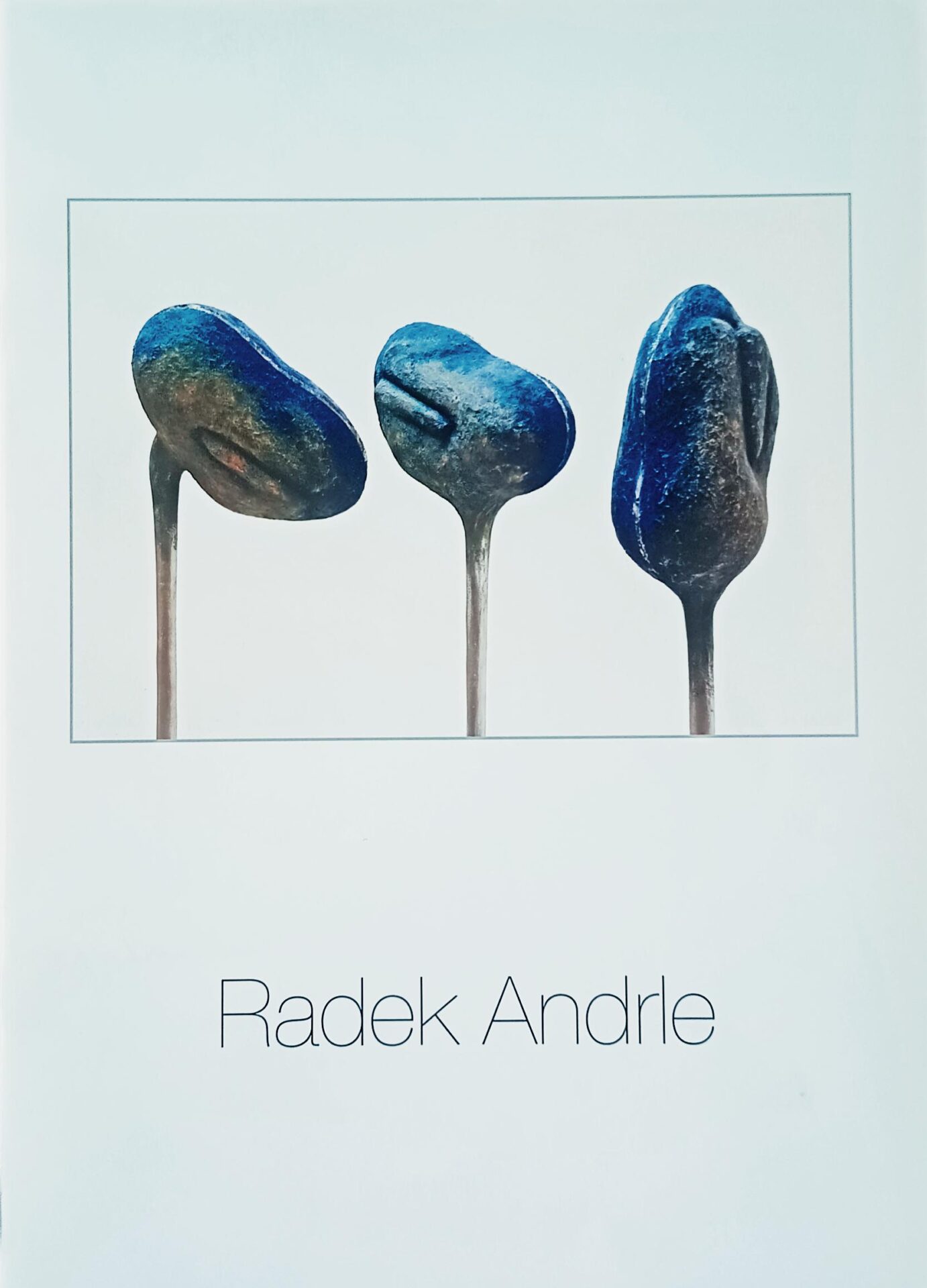 Radek Andrle