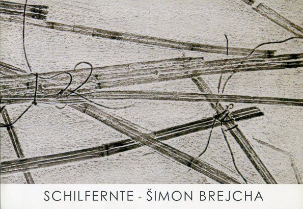 Šimon Brejcha – Schilfernte