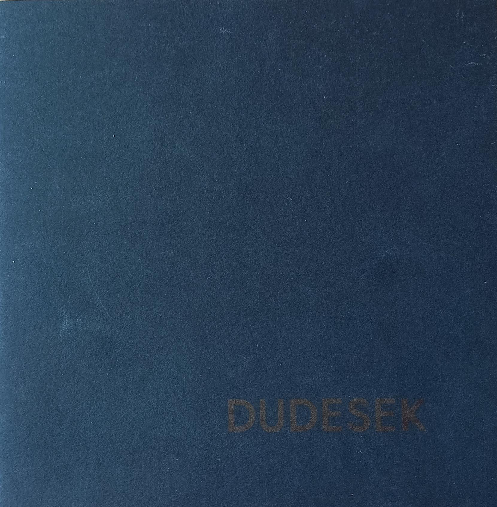 Jan Dudešek – Gravity