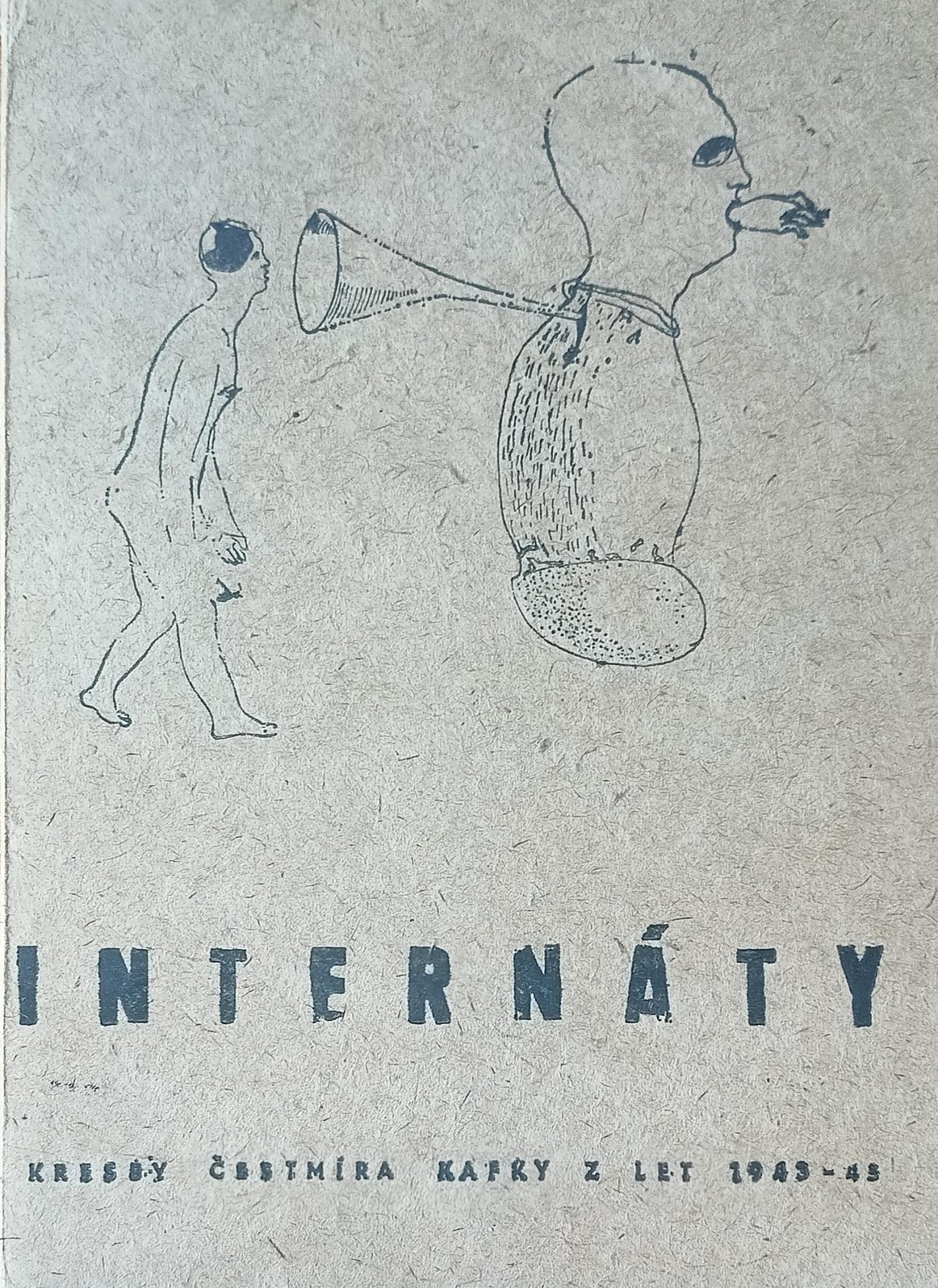 Internáty