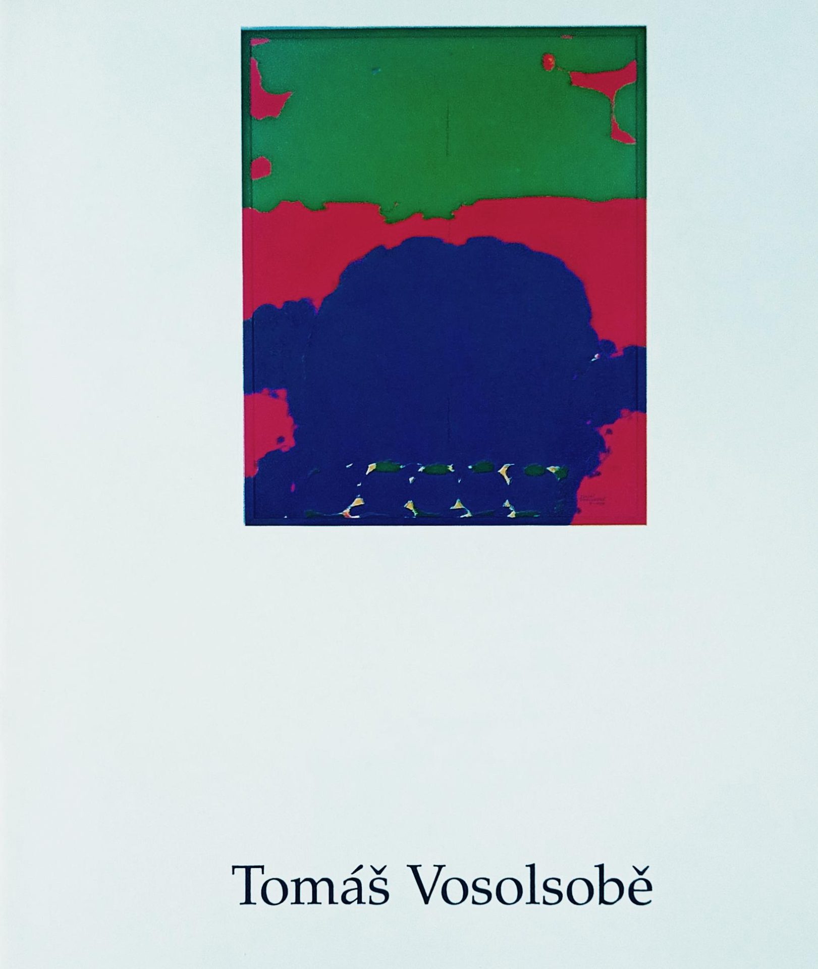 Tomáš Vosolsobě