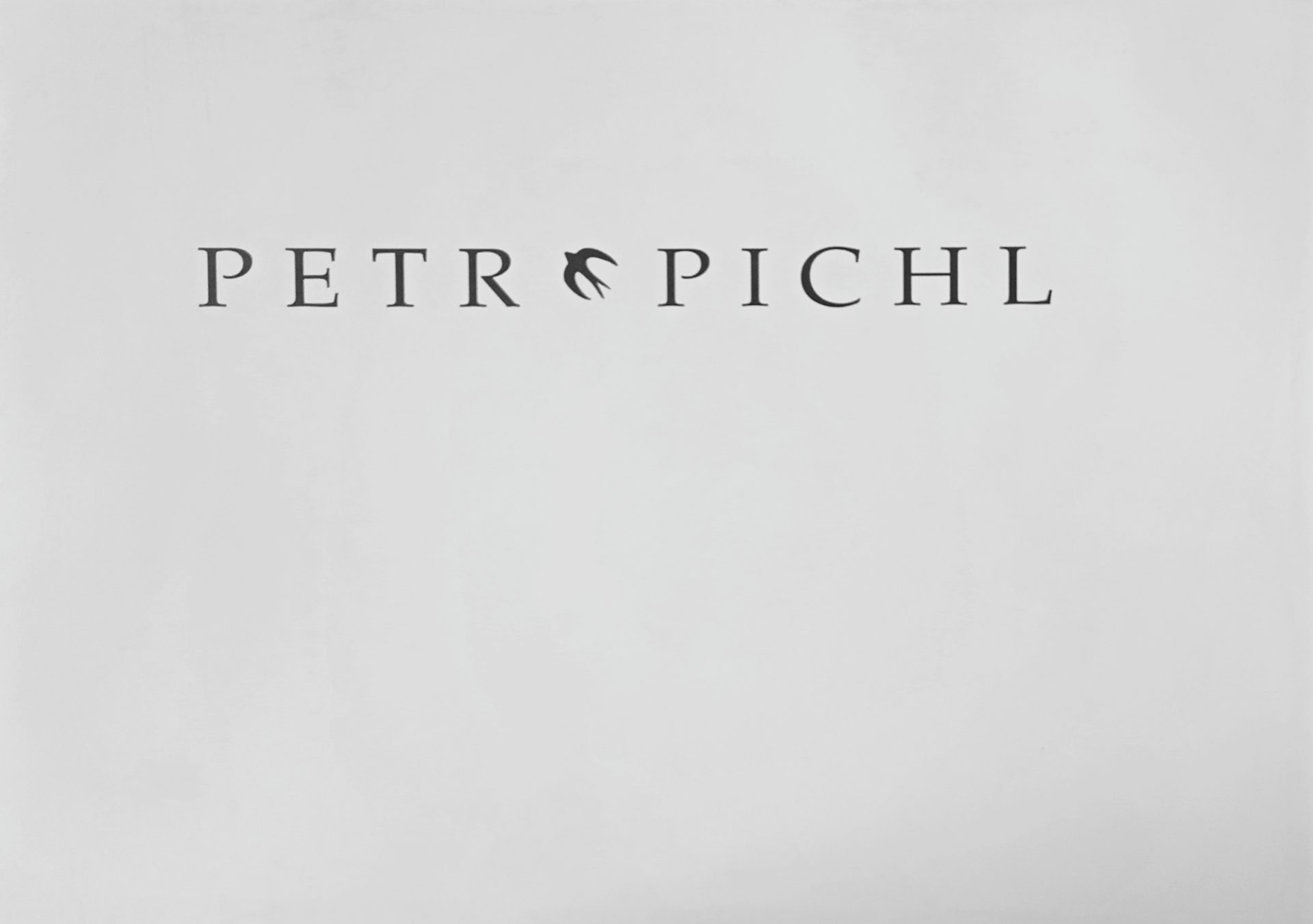 Petr Pichl