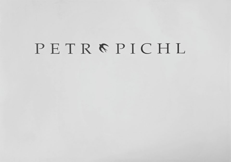 Petr Pichl