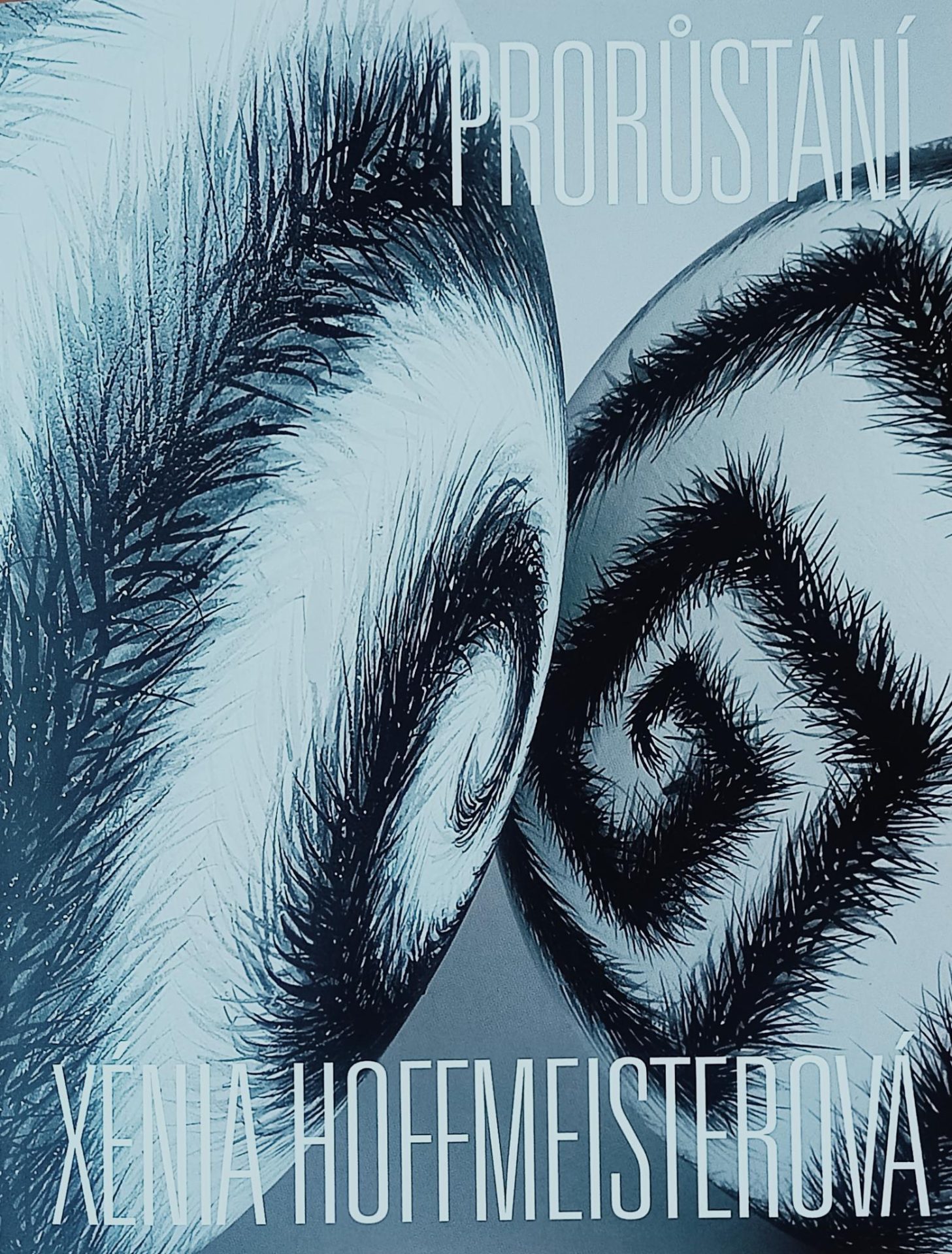 Xénia Hoffmeisterová – Prorůstání