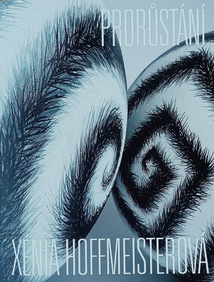 Xénia Hoffmeisterová – Prorůstání