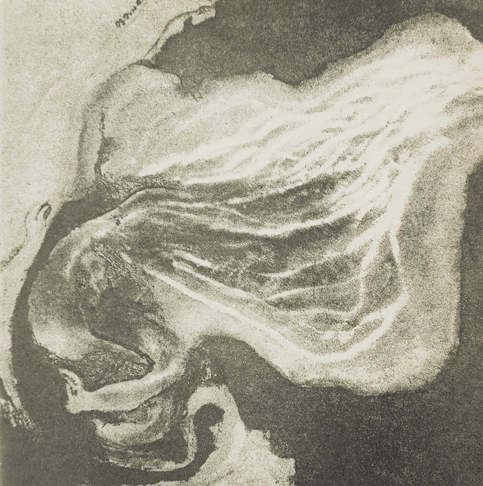 Aleš Ogoun – Obrazy