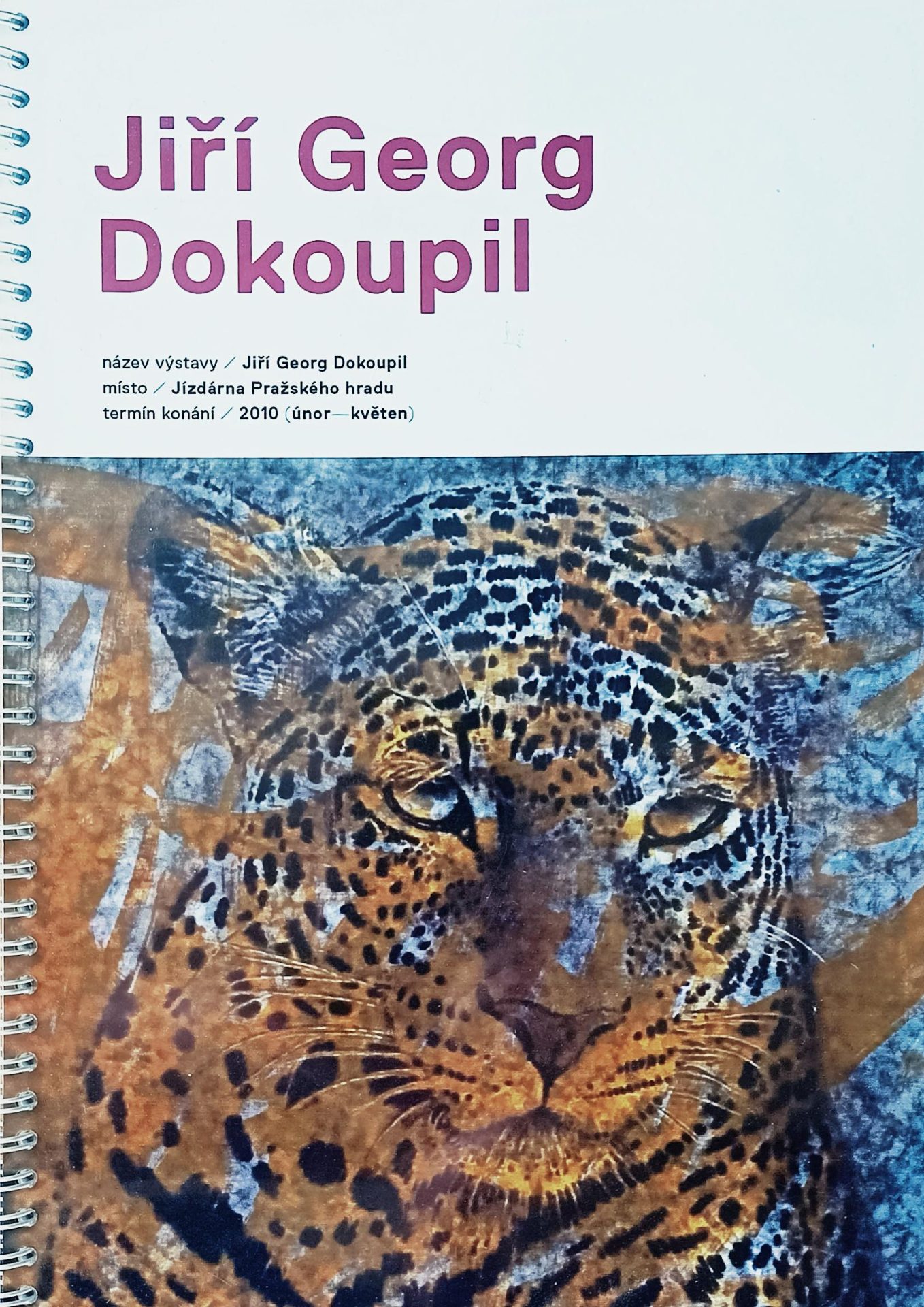 Jiří Georg Dokoupil