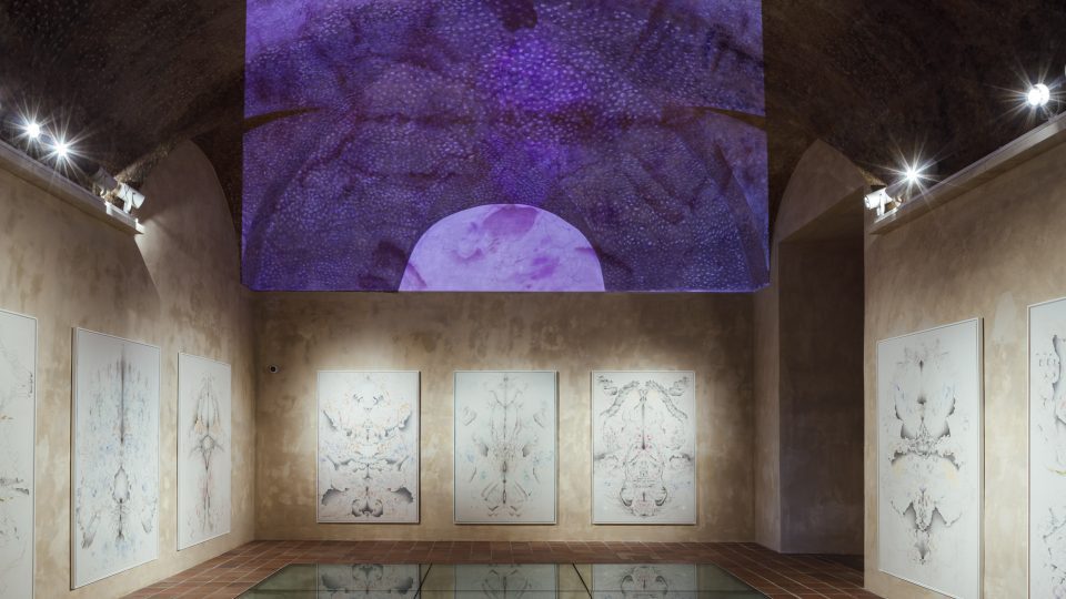 Jana Kasalová – Zpaměti-9284