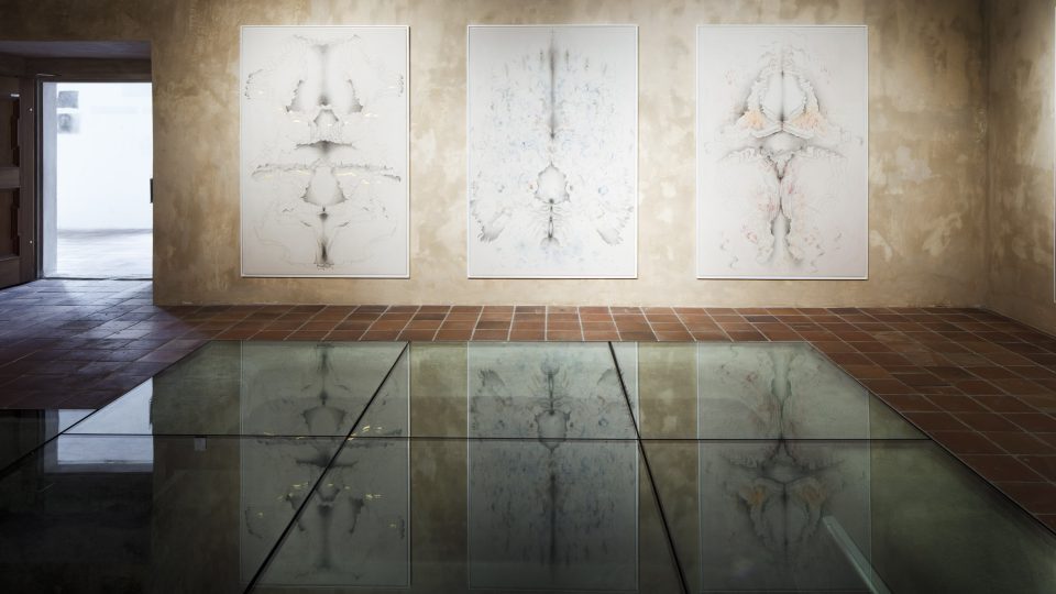 Jana Kasalová – Zpaměti-9307