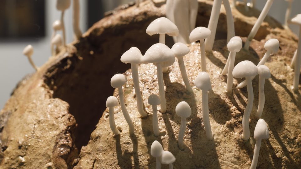 Mumie v krajkách, porcelánové plastiky a šperky Terezy Eisnerové-9382