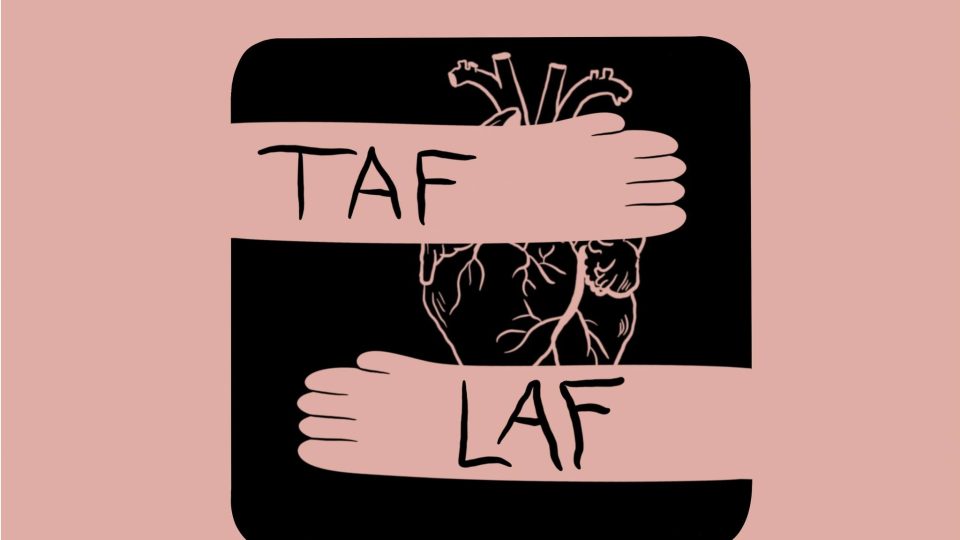 Koncert kapely Taf Laf