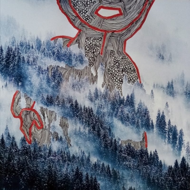 Vernisáž výstavy Marcely Vichrové