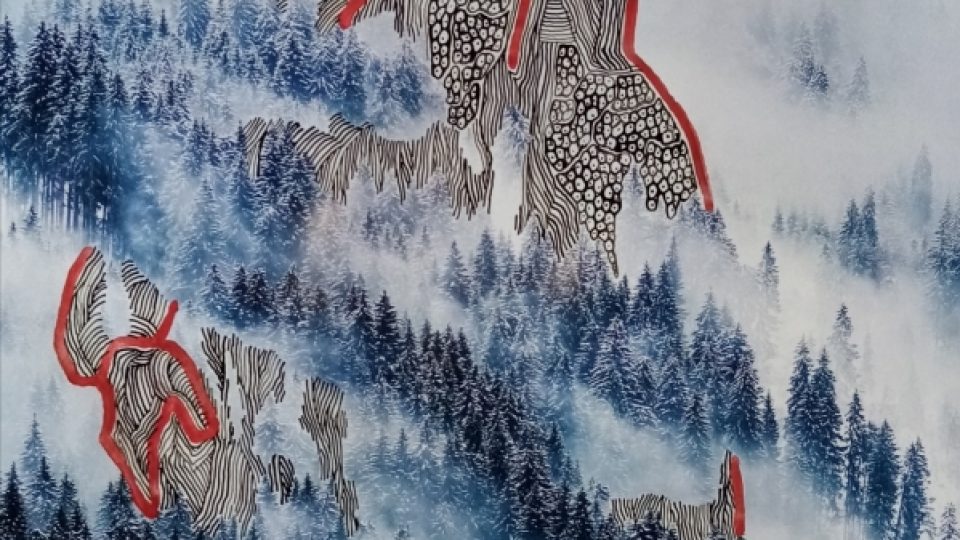 Vernisáž výstavy Marcely Vichrové