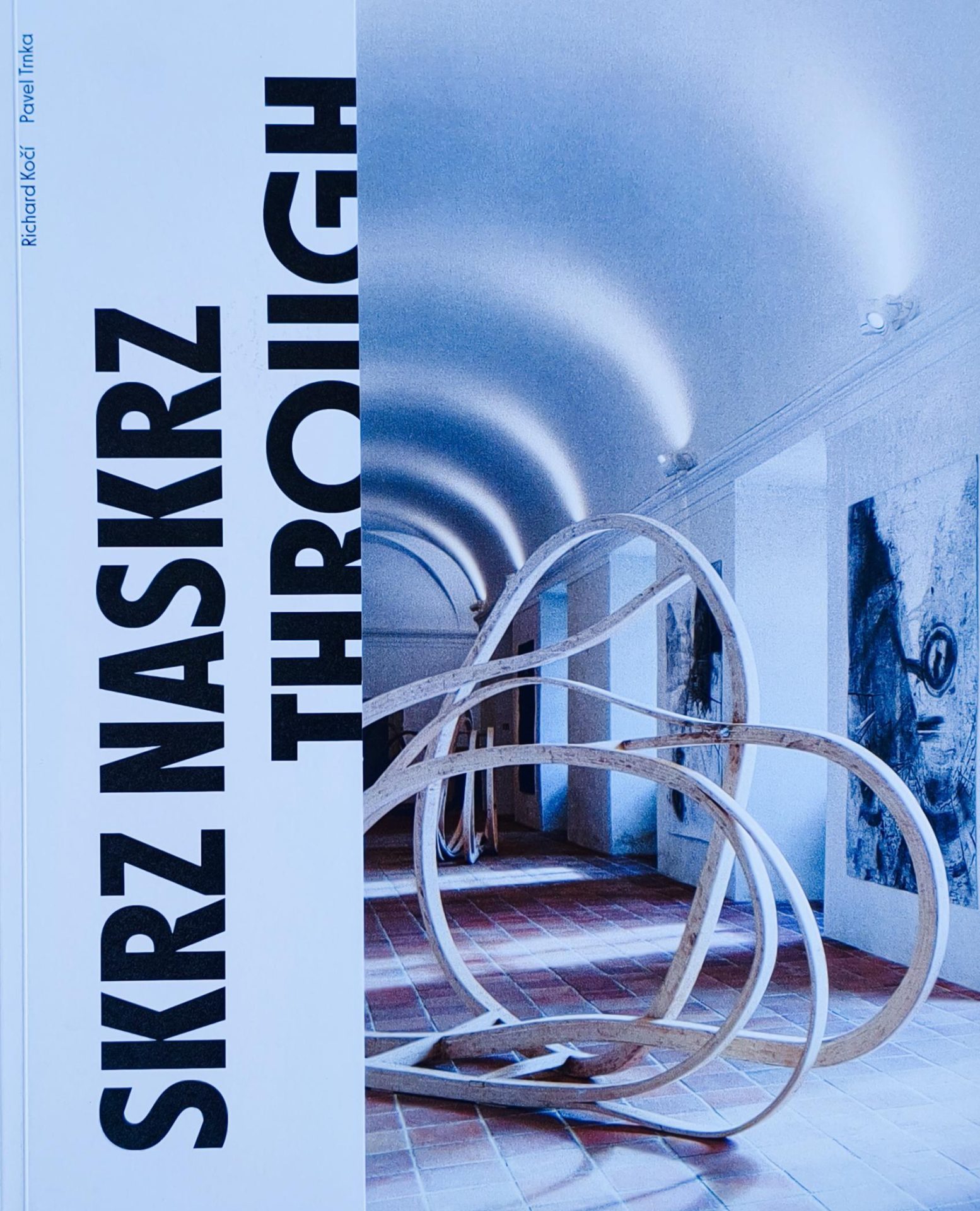 Richard Kočí, Pavel Trnka – Skrz naskrz / Through and Through