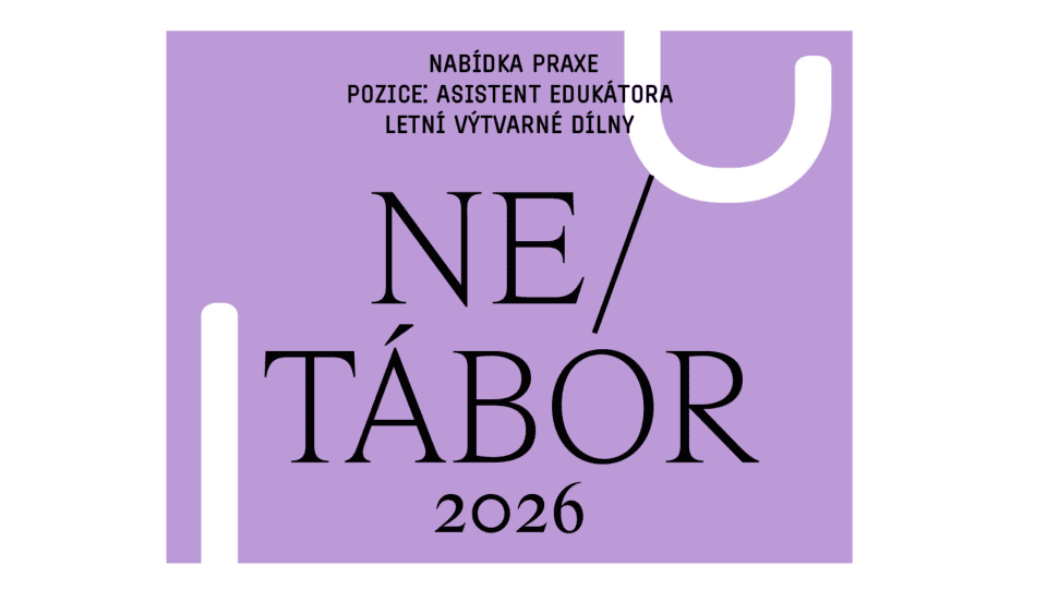 NE/TÁBOR 2026 NABÍDKA PRAXE Pozice: Asistent edukátora