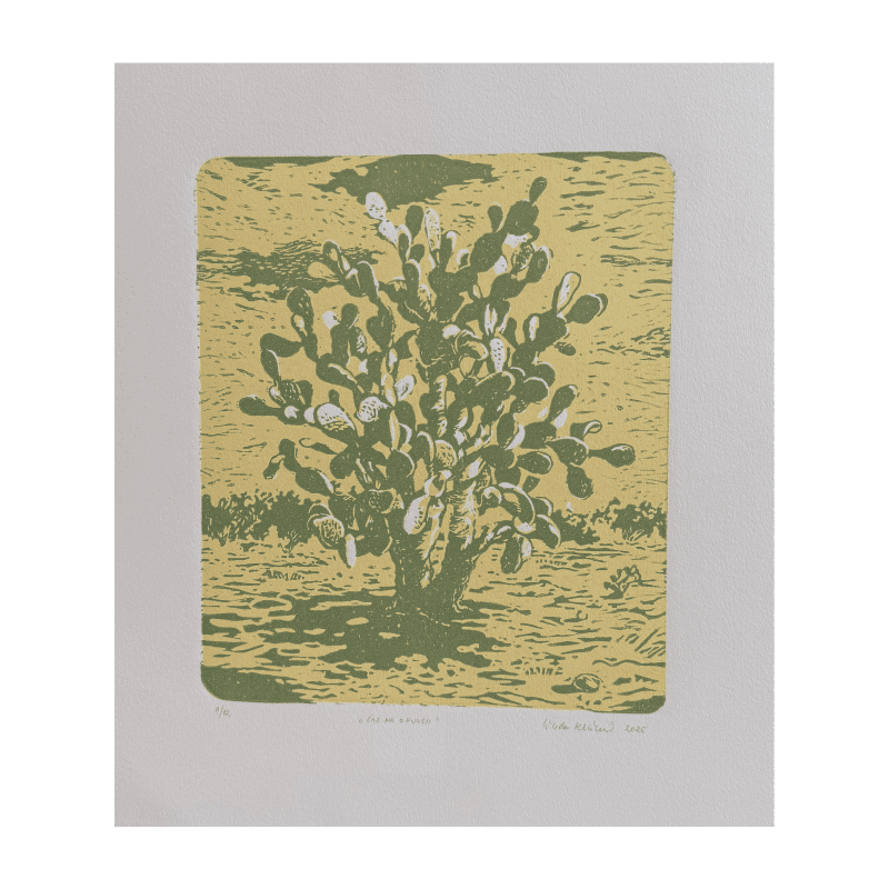 Linda Klimentová - Čas na opuncii I.