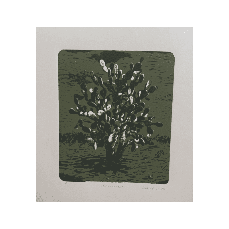 Linda Klimentová - Čas na opuncii II.