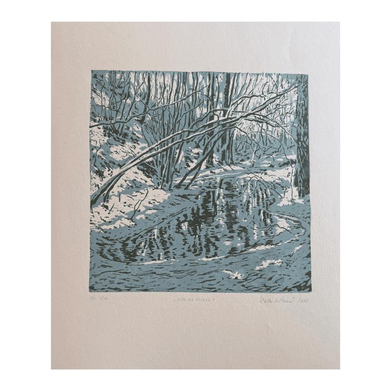 Linda Klimentová - Ledy na potoce